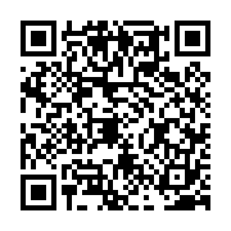 QR code for DFV0738