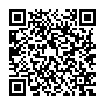 QR code for DFZ9374