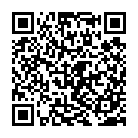 QR code for DHI607