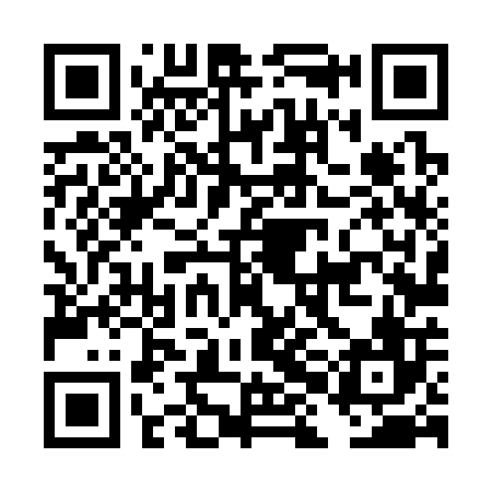 QR code for DHL306