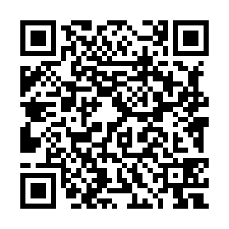 QR code for DHL8380