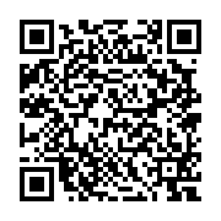 QR code for DHQ0933