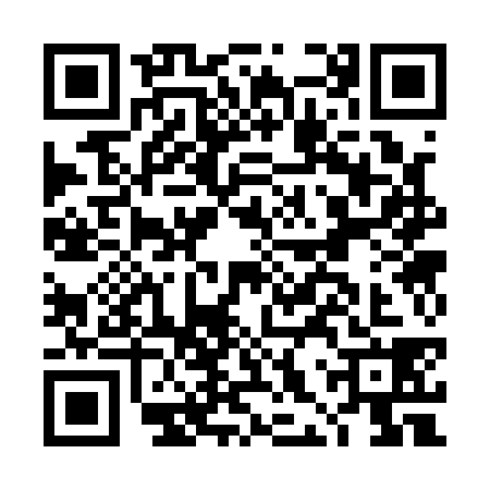 QR code for DHS1383