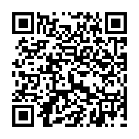QR code for DIA957