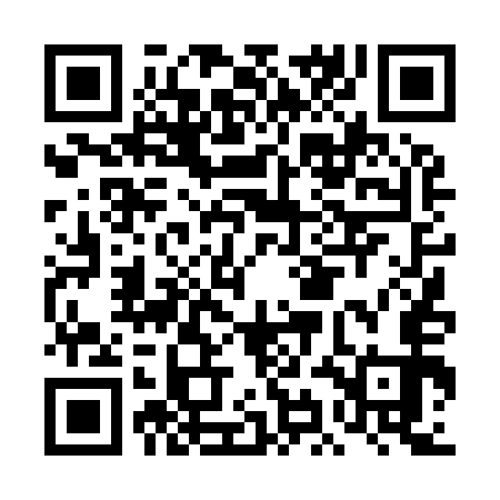 QR code for DID953