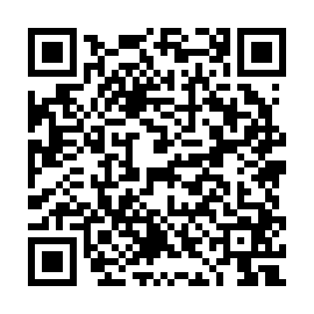 QR code for DIM2443