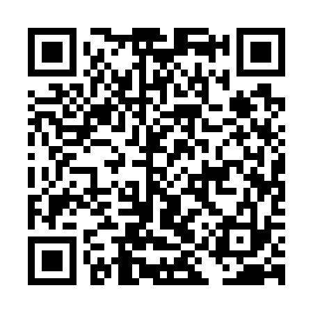 QR code for DIQ733