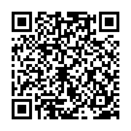 QR code for DIS8343