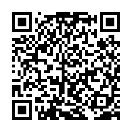 QR code for DIY299