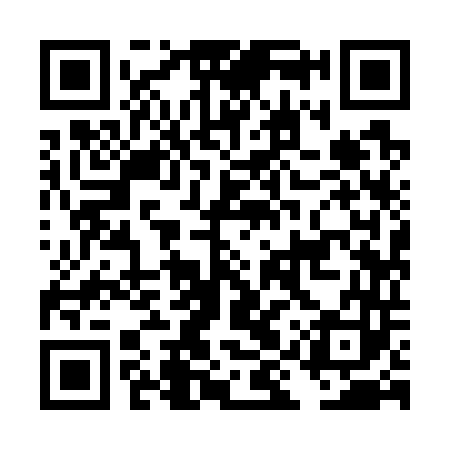 QR code for DIY743