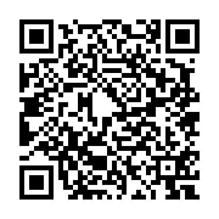 QR code for DIZ4110