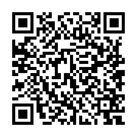 QR code for DJN9666