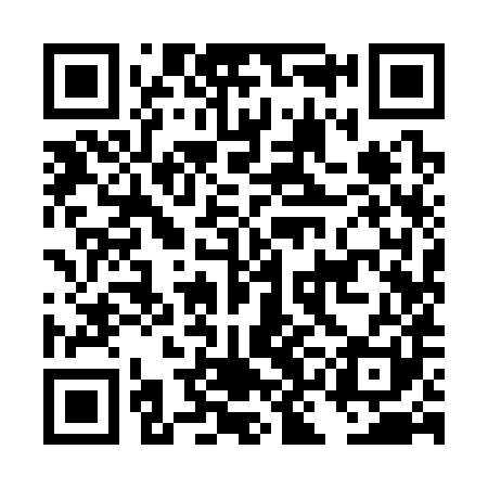 QR code for DKI381