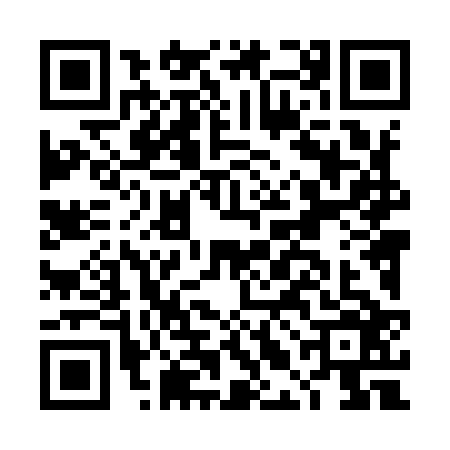 QR code for DLL9263