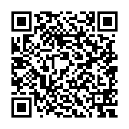 QR code for DLP5981