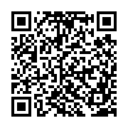 QR code for DLS666