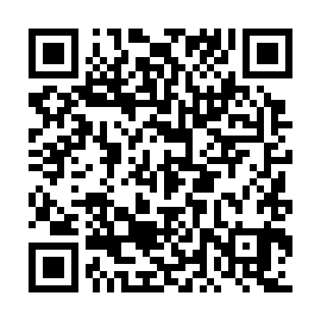 QR code for DLT381