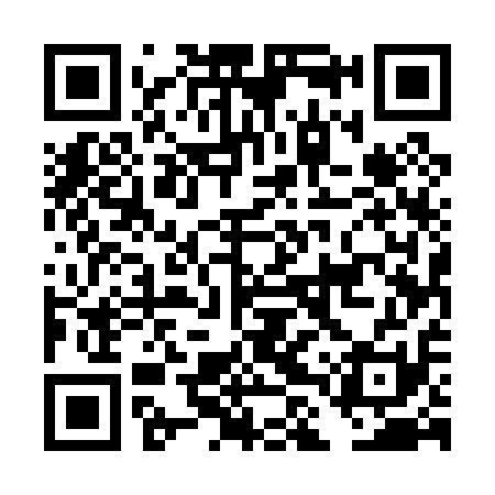 QR code for DLU011