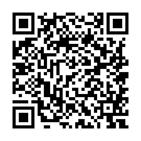 QR code for DLU9851