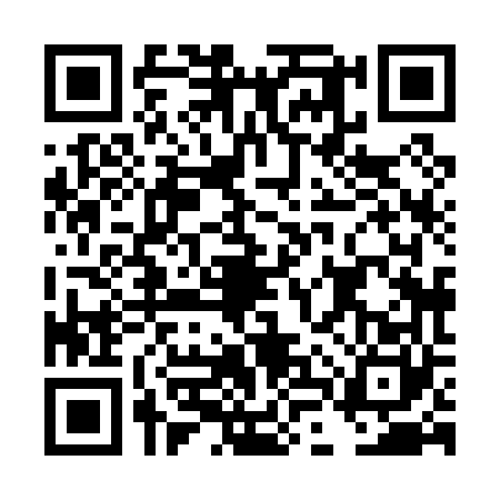 QR code for DLX0603