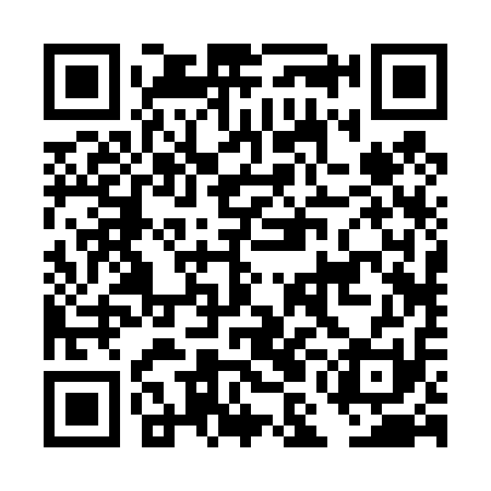QR code for DMB411