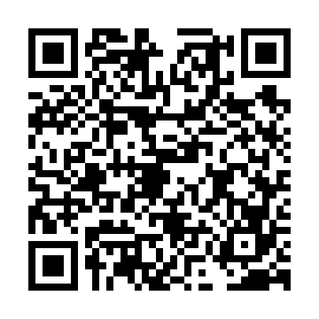 QR code for DMG6663