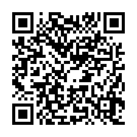 QR code for DMR536