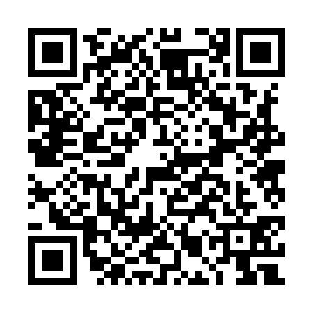 QR code for DMR9311