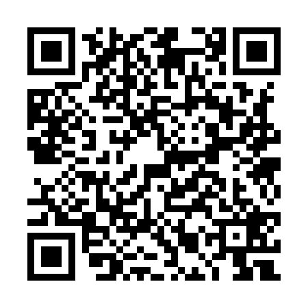 QR code for DMS9291