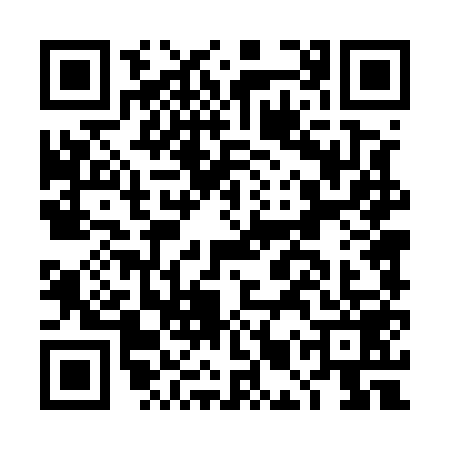 QR code for DMT5595