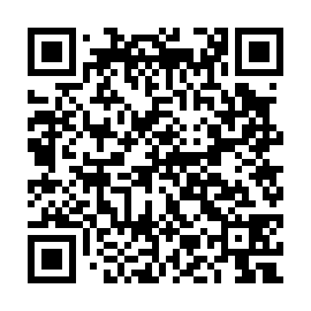 QR code for DMW038