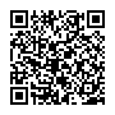 QR code for DMY0113