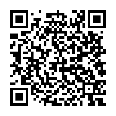 QR code for DNF533
