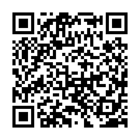 QR code for DNH218