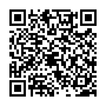 QR code for DNH4219