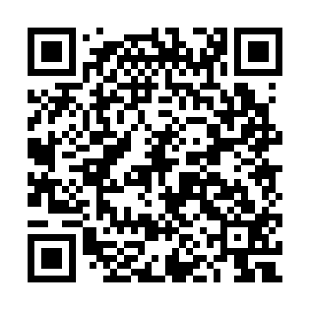 QR code for DNP313