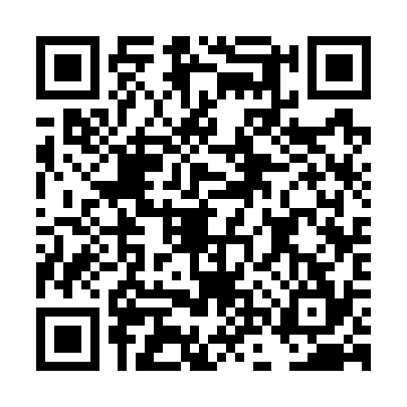 QR code for DNS7341