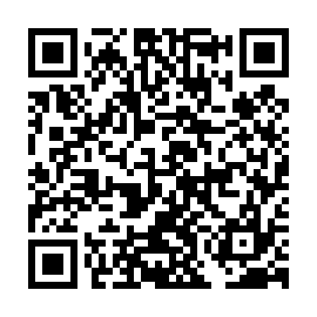 QR code for DOG437