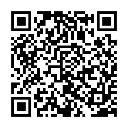 QR code for DPS313