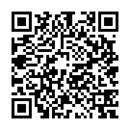 QR code for DQE0387