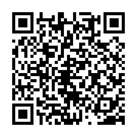 QR code for DQF1393