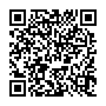 QR code for DQL314