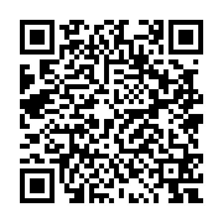 QR code for DQM0608