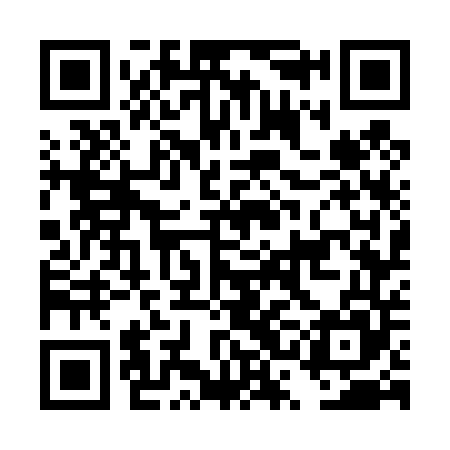 QR code for DSG445