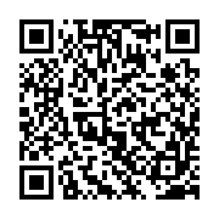 QR code for DSI392