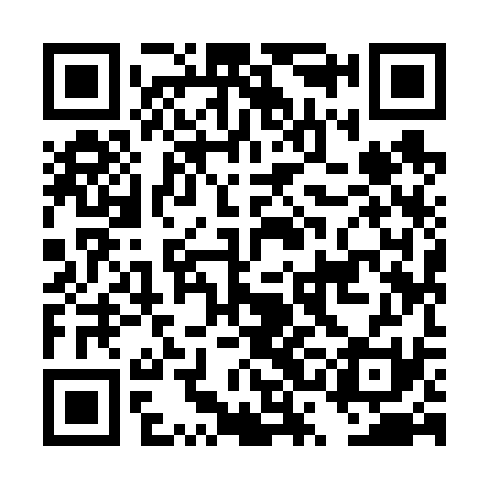QR code for DSI631