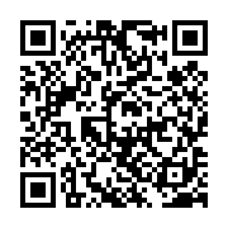 QR code for DSO491