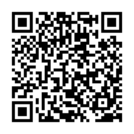 QR code for DSV294