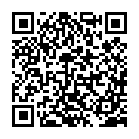 QR code for DSX407
