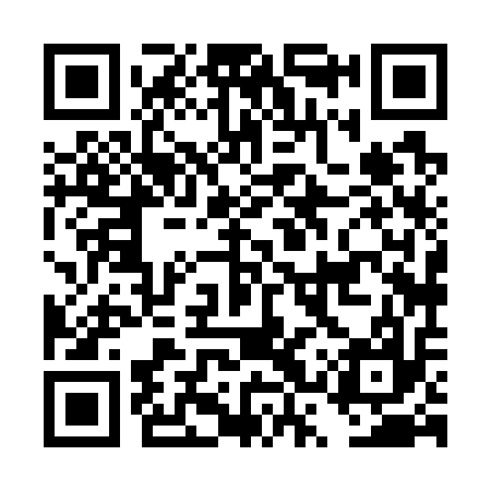 QR code for DSX717